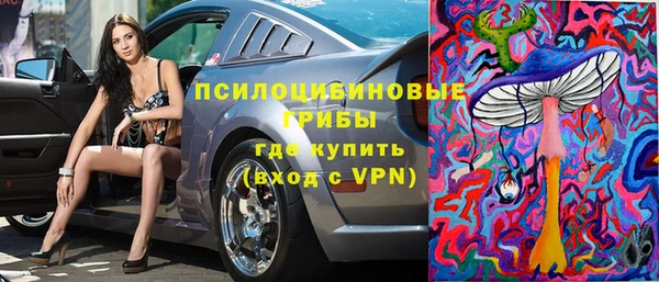 твердый Алзамай