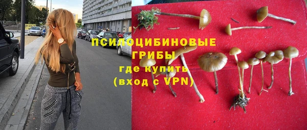 трава Алексин