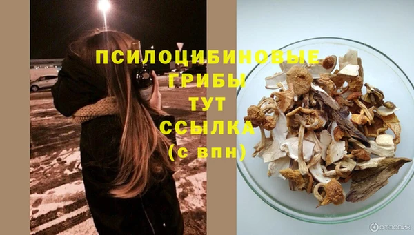 твердый Алзамай