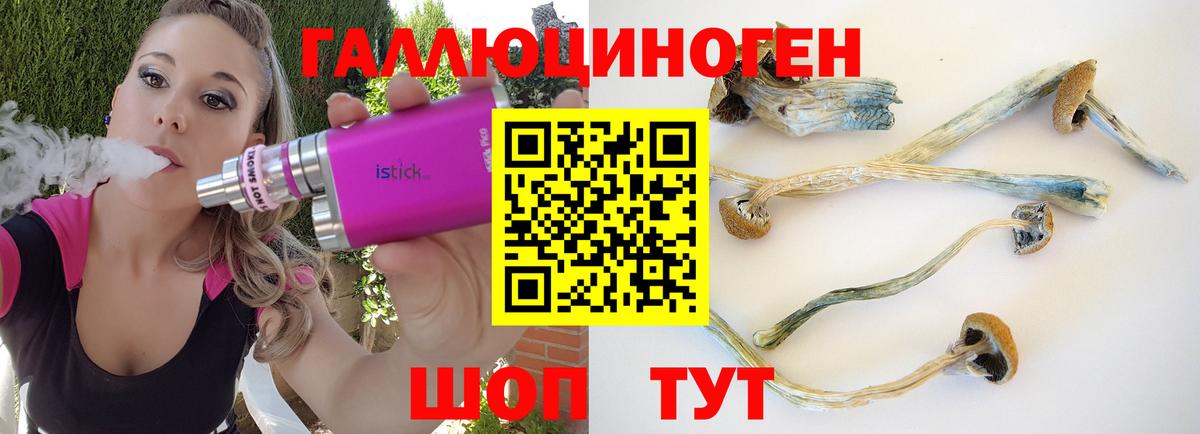 Псилоцибиновые грибы прущие грибы  Вход с VPN  Казань 