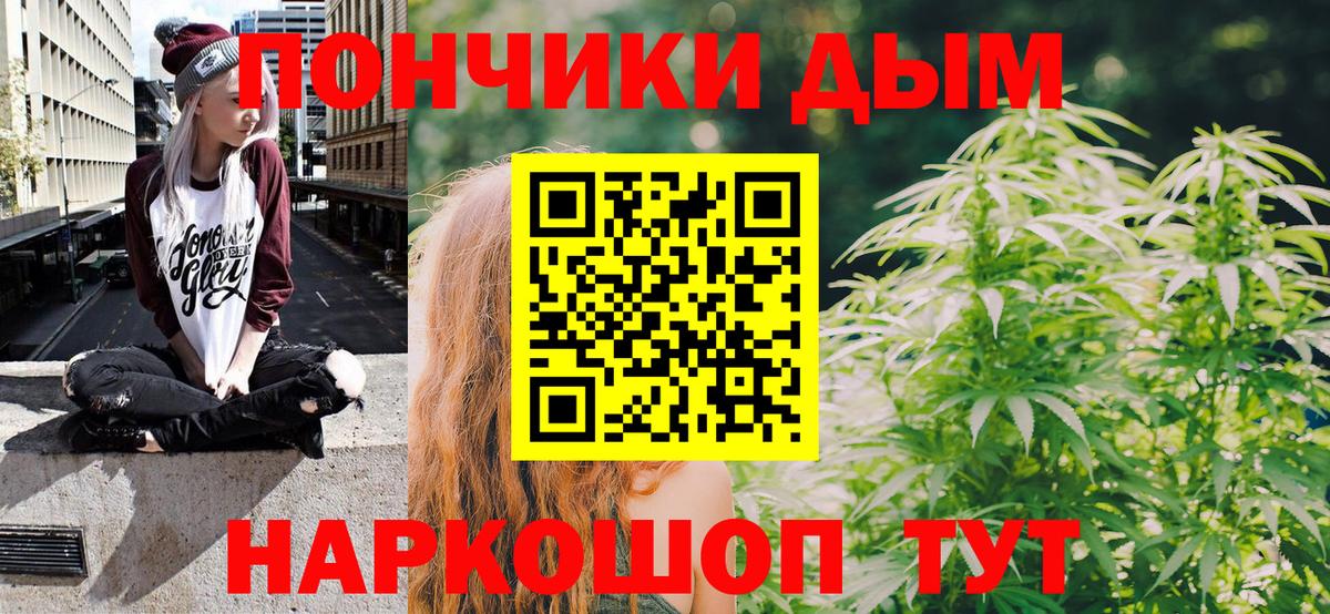 Канабис сатива Казань